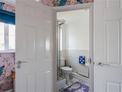 Picture 19